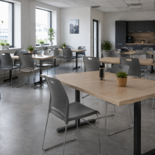 Sedia da pranzo ergonomica grigia
